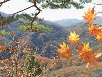美国驻华大使庞德伟简历公布|界面新闻 · 快讯